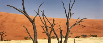 Deadley, Sossusvlei, Namibia, sand, dunes Wallpaper 3440x1440