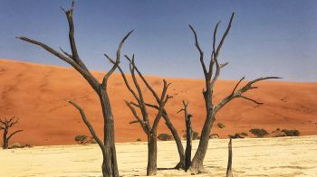 Обои 1366x768 Дедвлей, Соссусфлей, Намибия, песок, дюны
