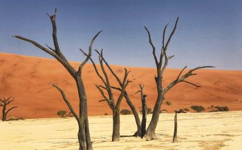 Deadley, Sossusvlei, Namibia, sand, dunes Wallpaper 2560x1600