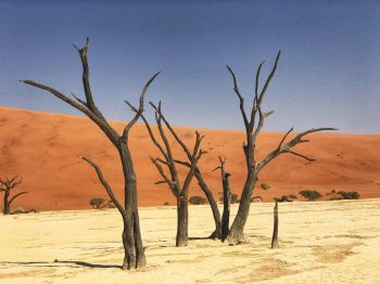 Обои 1024x768 Дедвлей, Соссусфлей, Намибия, песок, дюны