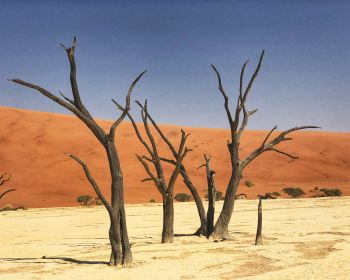 Deadley, Sossusvlei, Namibia, sand, dunes Wallpaper 1280x1024