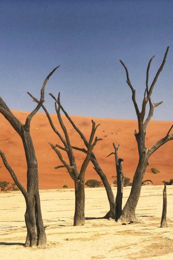 Deadley, Sossusvlei, Namibia, sand, dunes Wallpaper 640x960