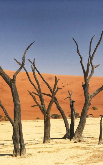 Обои 800x1280 Дедвлей, Соссусфлей, Намибия, песок, дюны