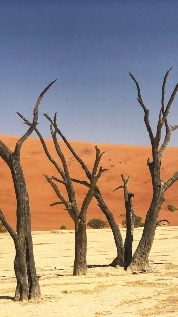 Deadley, Sossusvlei, Namibia, sand, dunes Wallpaper 640x1136