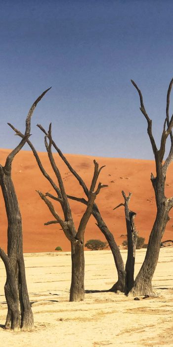 Обои 720x1440 Дедвлей, Соссусфлей, Намибия, песок, дюны