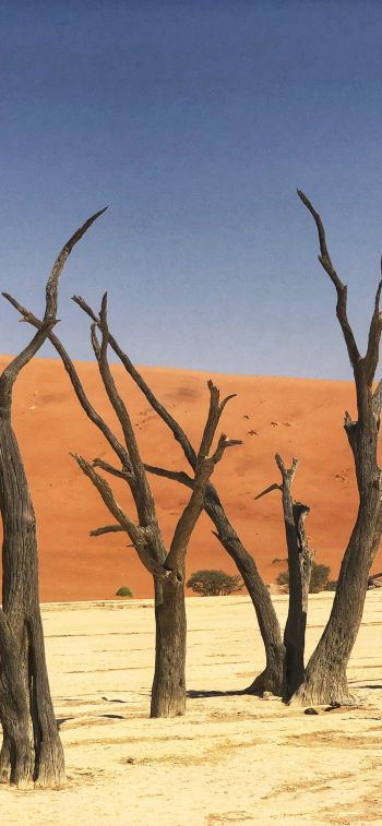 Обои 1170x2532 Дедвлей, Соссусфлей, Намибия, песок, дюны