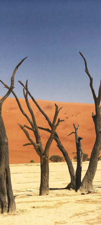 Обои 1080x2400 Дедвлей, Соссусфлей, Намибия, песок, дюны