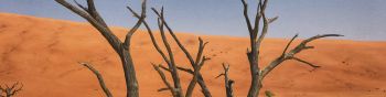 Обои 1590x400 Дедвлей, Соссусфлей, Намибия, песок, дюны