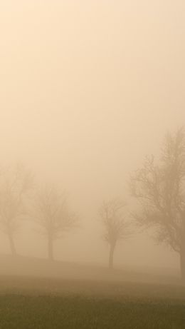 landscape, beige, film photography Wallpaper 640x1136