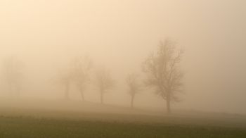 landscape, beige, film photography Wallpaper 2560x1440