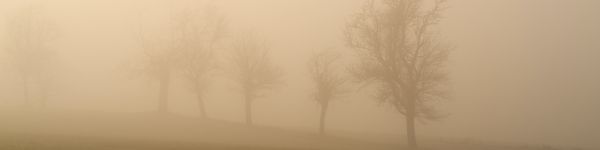 landscape, beige, film photography Wallpaper 1590x400