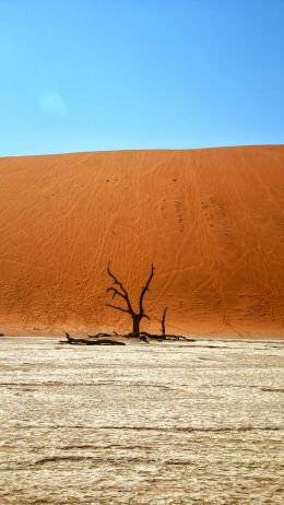 Обои 1080x1920 Dead Vlei, Соссусфлей, Намибия, пустыня, мертвое дерево