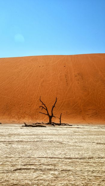 Обои 1080x1920 Dead Vlei, Соссусфлей, Намибия, пустыня, мертвое дерево