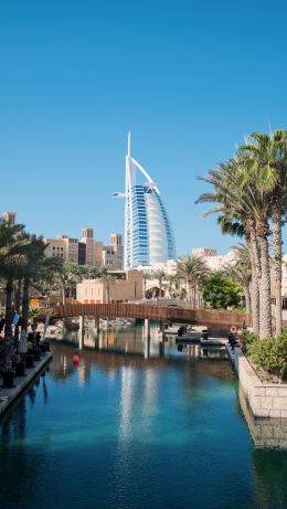 Dubai, Dubai, United Arab Emirates, palm trees, water Wallpaper 640x1136