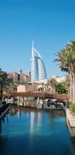 Dubai, Dubai, United Arab Emirates, palm trees, water Wallpaper 1440x2960
