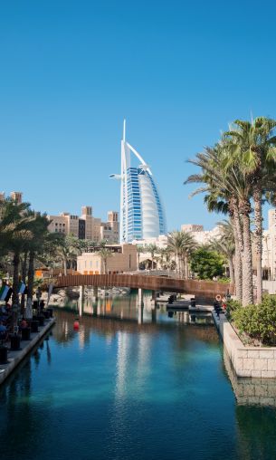 Dubai, Dubai, United Arab Emirates, palm trees, water Wallpaper 1200x2000