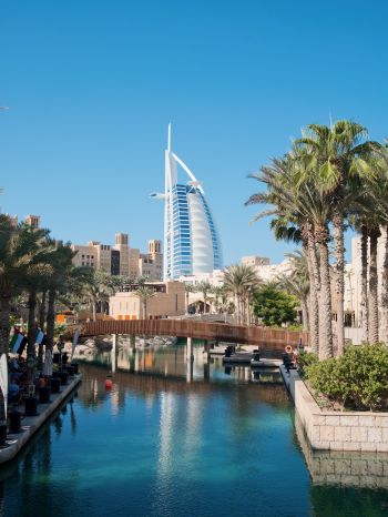 Dubai, Dubai, United Arab Emirates, palm trees, water Wallpaper 2048x2732