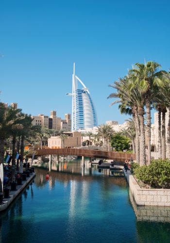 Dubai, Dubai, United Arab Emirates, palm trees, water Wallpaper 1668x2388