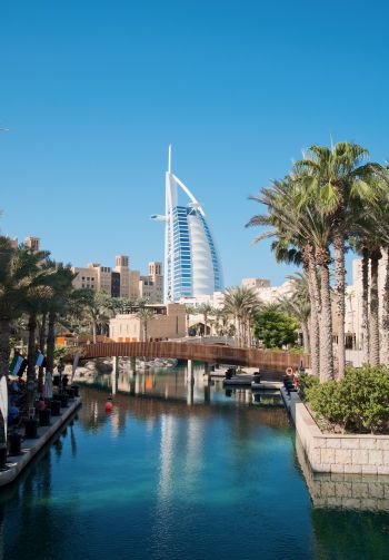 Dubai, Dubai, United Arab Emirates, palm trees, water Wallpaper 1640x2360