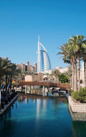 Dubai, Dubai, United Arab Emirates, palm trees, water Wallpaper 1752x2800