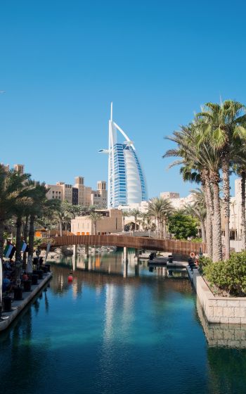 Dubai, Dubai, United Arab Emirates, palm trees, water Wallpaper 1600x2560