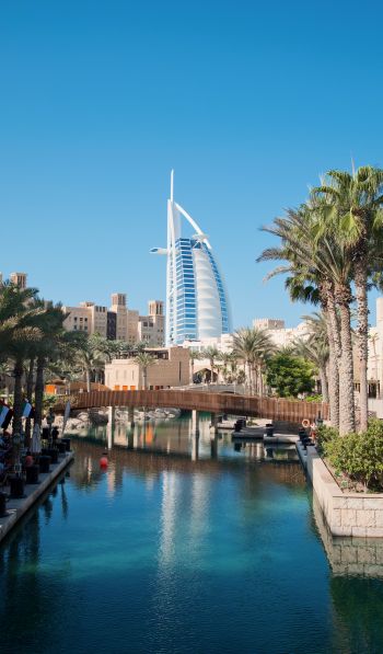 Dubai, Dubai, United Arab Emirates, palm trees, water Wallpaper 600x1024