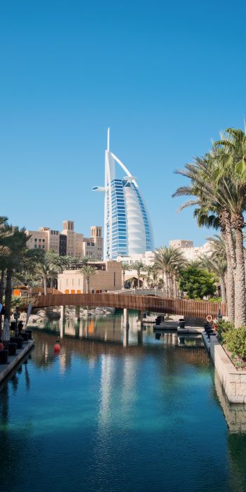 Dubai, Dubai, United Arab Emirates, palm trees, water Wallpaper 720x1440