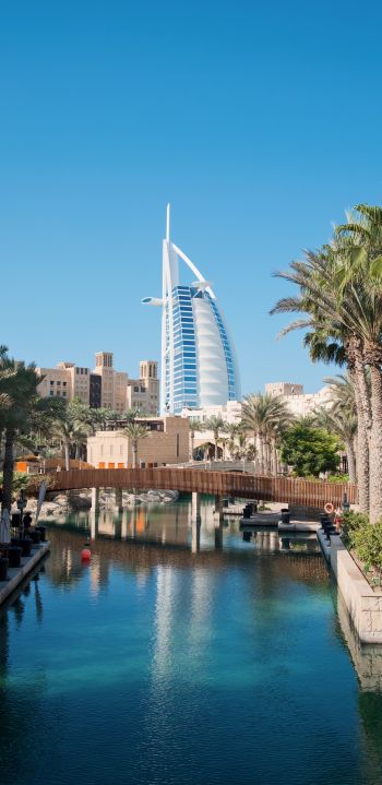Dubai, Dubai, United Arab Emirates, palm trees, water Wallpaper 1080x2220