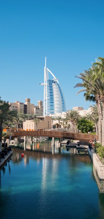 Dubai, Dubai, United Arab Emirates, palm trees, water Wallpaper 1440x3040