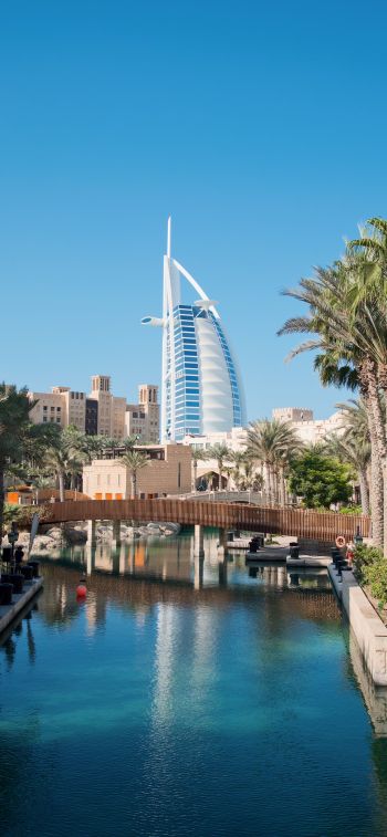 Dubai, Dubai, United Arab Emirates, palm trees, water Wallpaper 1170x2532