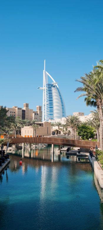 Dubai, Dubai, United Arab Emirates, palm trees, water Wallpaper 1080x2400