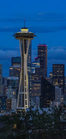 Seattle, Washington, USA, skyscrapers, glass Wallpaper 1440x3040