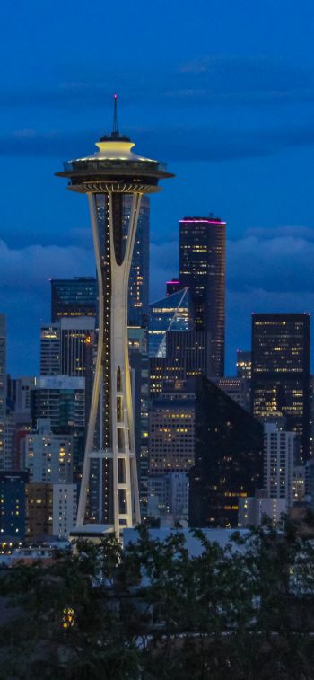 Seattle, Washington, USA, skyscrapers, glass Wallpaper 1284x2778