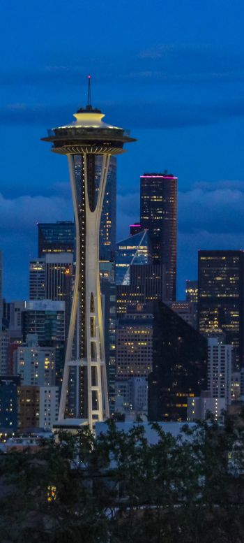 Seattle, Washington, USA, skyscrapers, glass Wallpaper 1080x2400