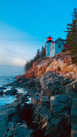 Bass-Harbor, Tremont, Maine, USA, cliff, sea Wallpaper 640x1136