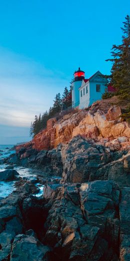 Bass-Harbor, Tremont, Maine, USA, cliff, sea Wallpaper 720x1440