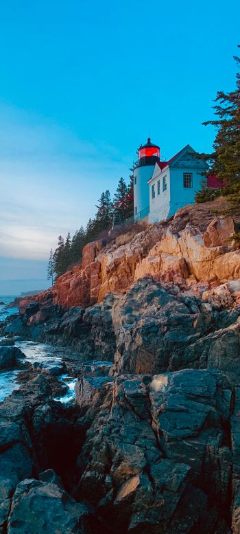 Bass-Harbor, Tremont, Maine, USA, cliff, sea Wallpaper 1440x3200