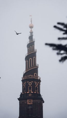 Copenhagen, Copenhagen, Denmark, tower, fog Wallpaper 640x1136