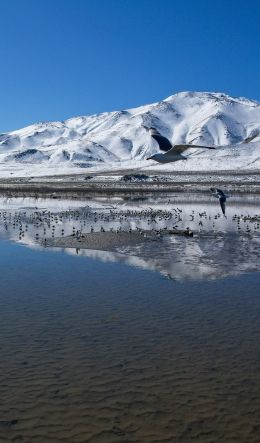 Pyramid Lake, Nevada, USA, pyramidal lake Wallpaper 600x1024