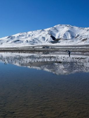 Pyramid Lake, Nevada, USA, pyramidal lake Wallpaper 1668x2224