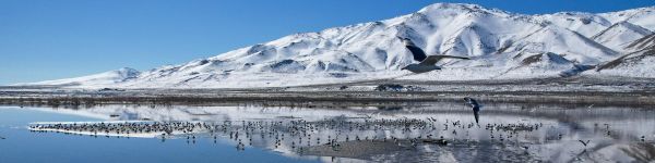 Pyramid Lake, Nevada, USA, pyramidal lake Wallpaper 1590x400