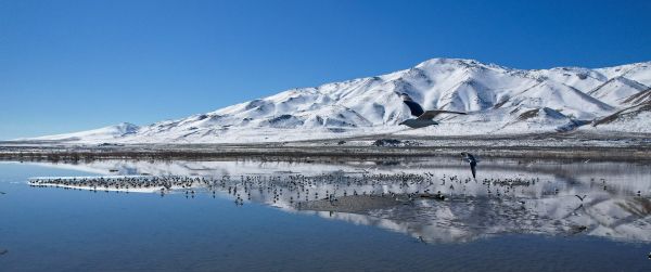 Pyramid Lake, Nevada, USA, pyramidal lake Wallpaper 3440x1440