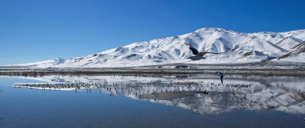 Pyramid Lake, Nevada, USA, pyramidal lake Wallpaper 2560x1080