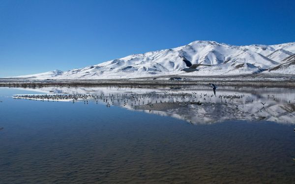 Pyramid Lake, Nevada, USA, pyramidal lake Wallpaper 2560x1600