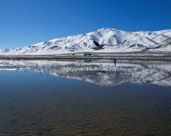 Pyramid Lake, Nevada, USA, pyramidal lake Wallpaper 1280x1024