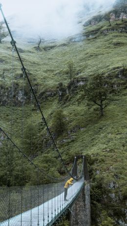 France, bridge, construction, cliff Wallpaper 750x1334