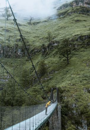 France, bridge, construction, cliff Wallpaper 1640x2360