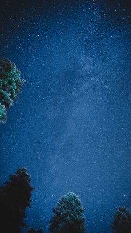 starry sky, night Wallpaper 2160x3840