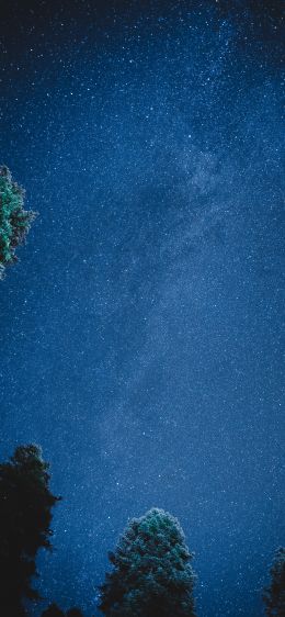 starry sky, night Wallpaper 1125x2436