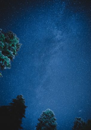 starry sky, night Wallpaper 1640x2360